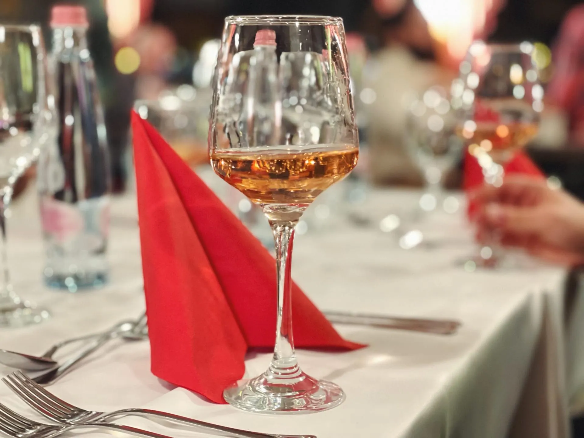 Wine & Dine Cruise with Live Music 2