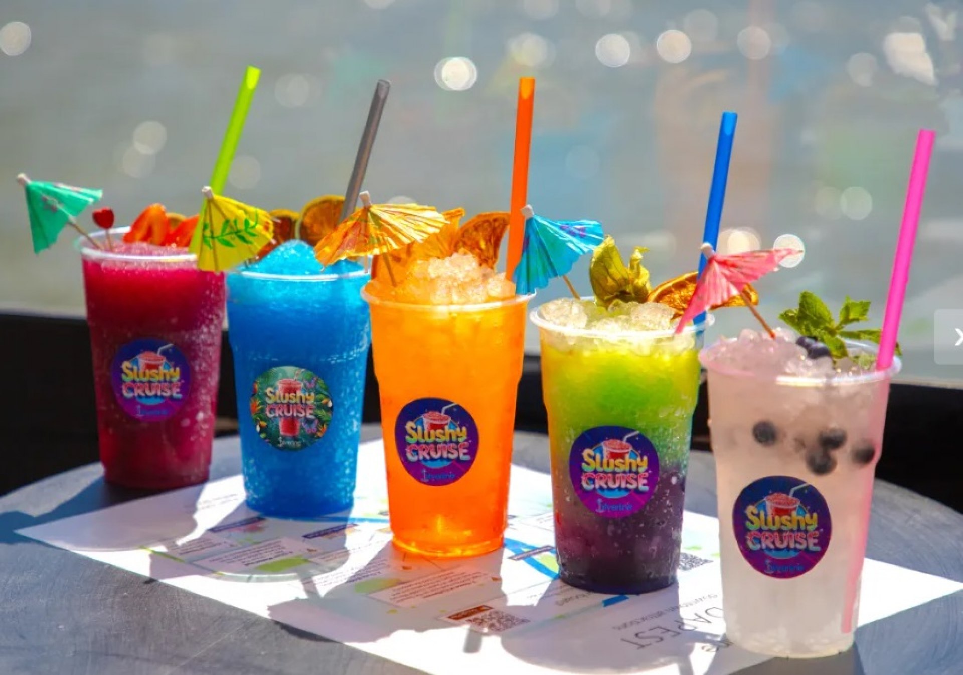 Crociera Slushy Illimitata sul Danubio