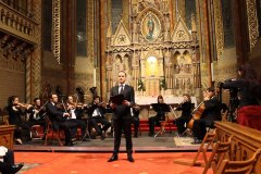 Biserica Mátyás concerte clasice Budapesta