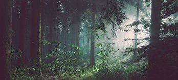 Леандр и Лен