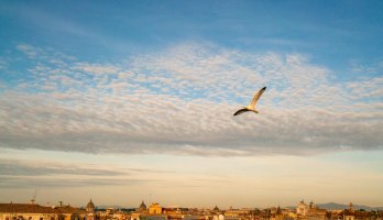 Vista Trastevere Dachterrassenbar und Restaurant