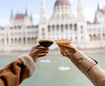 Cocktail Cruise Downtown Budapest