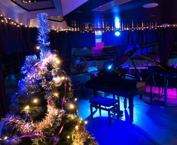 Cena di Natale e Crociera sul Danubio