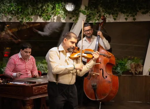 Budapest Dinner-Kreuzfahrt mit Folklore- und Operettenshow