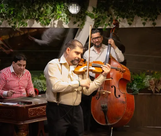 Crociera con cena a Budapest con spettacolo folcloristico e operetta