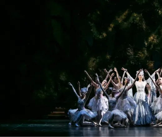 The Sleeping Beauty